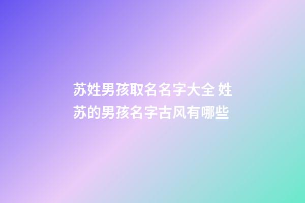 苏姓男孩取名名字大全 姓苏的男孩名字古风有哪些